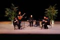 RealNewMusic 2007 (24)